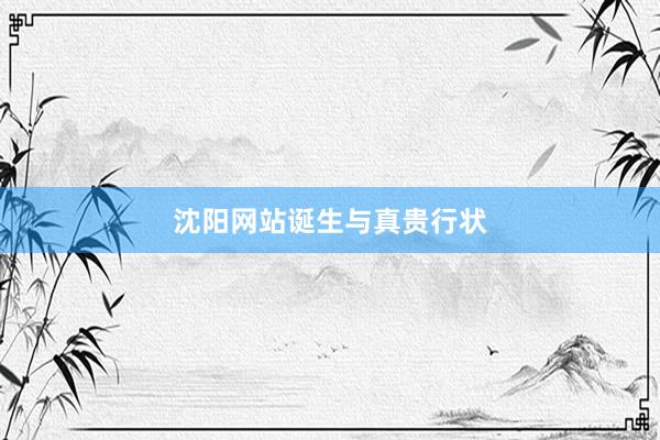 沈阳网站诞生与真贵行状