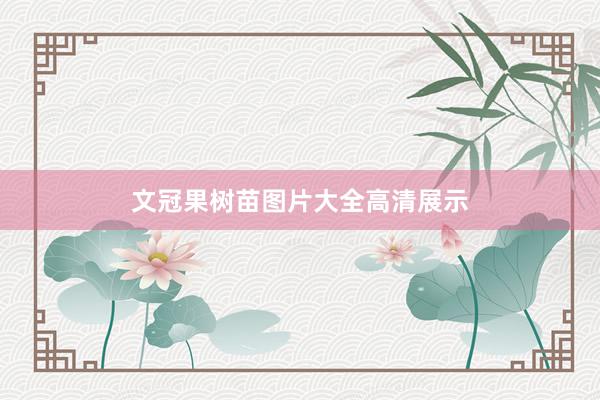 文冠果树苗图片大全高清展示