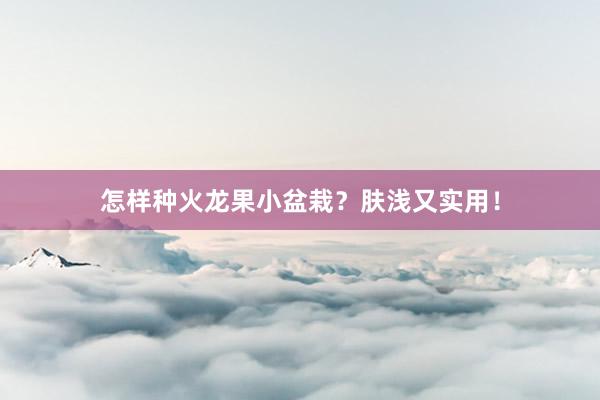 怎样种火龙果小盆栽？肤浅又实用！