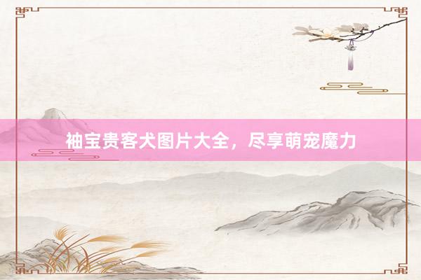 袖宝贵客犬图片大全，尽享萌宠魔力