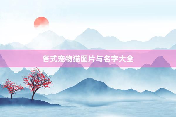各式宠物猫图片与名字大全